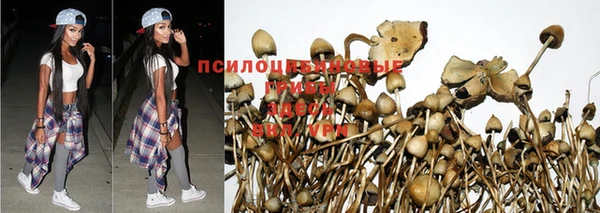 экстази Алексеевка